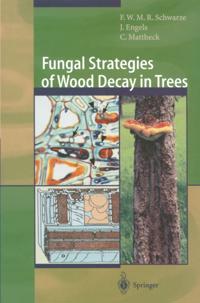 Fungal Strategies of Wood Decay in Trees