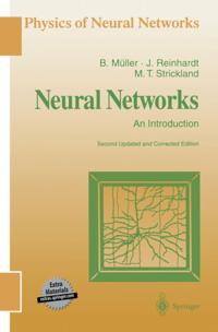 Physics of Neural Networks