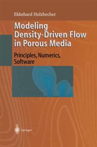 Modeling Density-Driven Flow in Porous Media