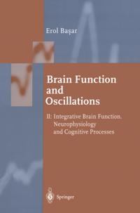 Springer Series in Synergetics