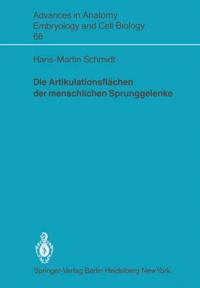 Die Artikulationsflächen der menschlichen Sprunggelenke