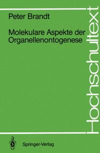 Hochschultext