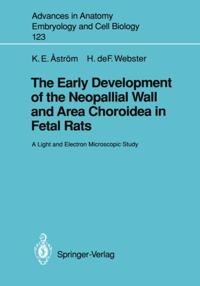 Early Development of the Neopallial Wall and Area Choroidea in Fetal Rats