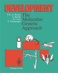 Development