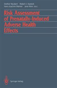 Risk Assessment of Prenatally-Induced Adverse Health Effects