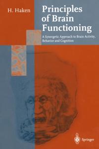 Springer Series in Synergetics