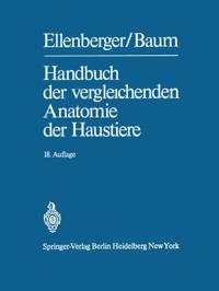 Life Science and Basic Disciplines (German Language)