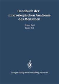 Haut und Sinnesorgane