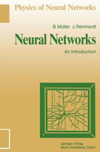 Physics of Neural Networks