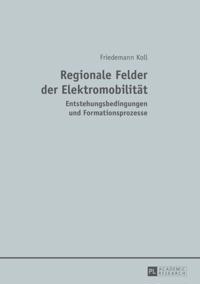 Regionale Felder der Elektromobilitaet