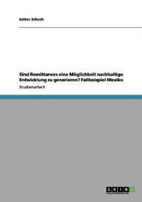 Sind Remittances eine Möglichkeit nachhaltige Entwicklung zu generieren? Fallbeispiel Mexiko