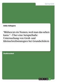 "Blühen ist ein Nomen, weil man das sehen kann." - Über eine beispielhafte Untersuchung von Groß- und Kleinschreibstrategien bei Grundschülern