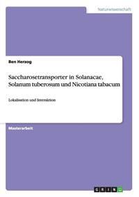 Saccharosetransporter in Solanacae, Solanum tuberosum und Nicotiana tabacum