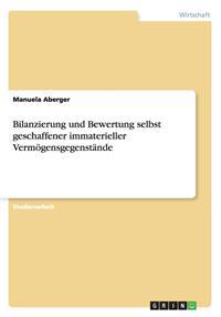 Bilanzierung und Bewertung selbst geschaffener immaterieller Vermögensgegenstände