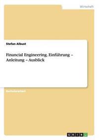 Financial Engineering. Einführung - Anleitung - Ausblick