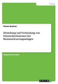Entstehung und Vermeidung von Feinstaubemissionen bei Biomassefeuerungsanlagen