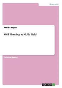 Well Planning at Molly Field