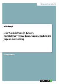Das "Gemeinwesen Knast". Rückfallpräventive Gemeinwesenarbeit im Jugendstrafvollzug