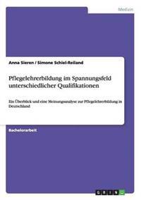 Bokomslag för "Pflegelehrerbildung im Spannungsfeld unterschiedlicher Qualifikationen"