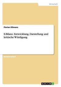 E-Bilanz. Entwicklung, Darstellung und kritische Würdigung