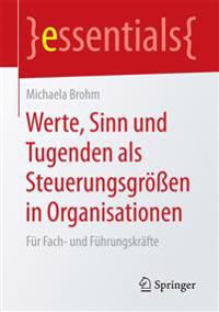 Werte, Sinn und Tugenden als Steuerungsgrößen in Organisationen