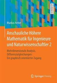 Anschauliche Höhere Mathematik für Ingenieure und Naturwissenschaftler 2