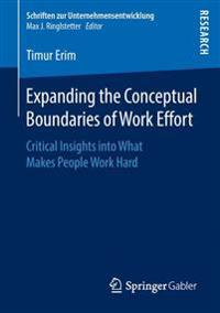 Expanding the Conceptual Boundaries of Work Effort