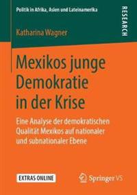 Mexikos junge Demokratie in der Krise