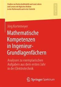 Mathematische Kompetenzen in Ingenieur-Grundlagenfächern