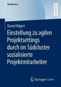Einstellung zu agilen Projektsettings durch im Südcluster sozialisierte Projektmitarbeiter