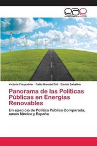 Panorama de las Políticas Públicas en Energías Renovables
