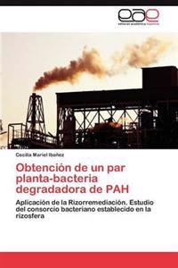 Obtencion de Un Par Planta-Bacteria Degradadora de Pah