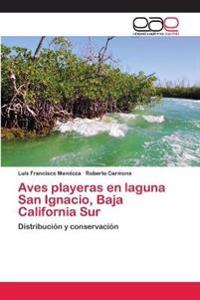 Aves playeras en laguna San Ignacio, Baja California Sur
