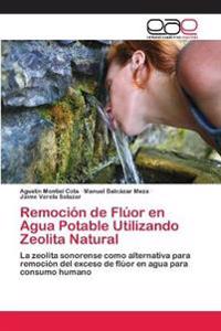 Kirjan kansi "Remoción de Flúor en Agua Potable Utilizando Zeolita Natural"