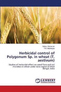 Herbicidal control of Polygonum Sp. in wheat (T. aestivum)