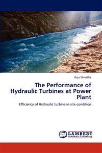 The Performance of Hydraulic Turbines at Power Plant