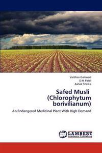 Safed Musli (Chlorophytum borivilianum)