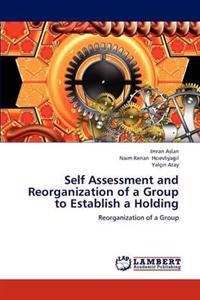 Self Assessment and Reorganization of a Group to Establish a Holding