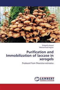 Purification and Immobilization of Laccase in Xerogels