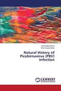 Natural History of Picobirnavirus (PBV) Infection