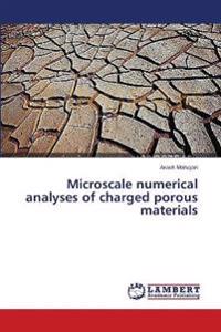 Microscale numerical analyses of charged porous materials