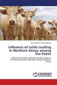 Influence of cattle rustling in Northern Kenya among the Pokot