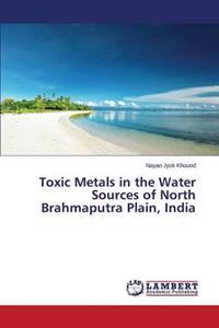 Toxic Metals in the Water Sources of North Brahmaputra Plain, India