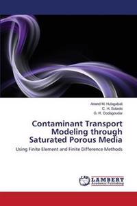 Contaminant Transport Modeling Through Saturated Porous Media