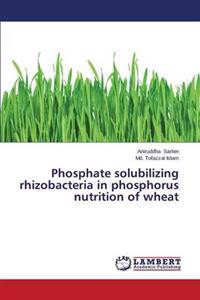 Phosphate Solubilizing Rhizobacteria in Phosphorus Nutrition of Wheat