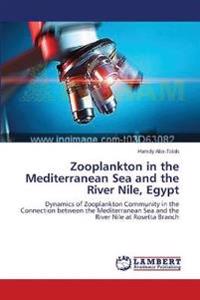 Zooplankton in the Mediterranean Sea and the River Nile, Egypt