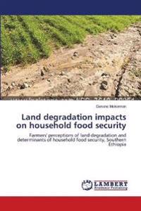 Land degradation impacts on household food security