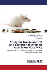 Study on Transplacental and Lactational Effect of Arsenic on Male Mice