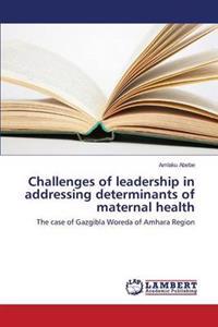 Challenges of leadership in addressing determinants of maternal health