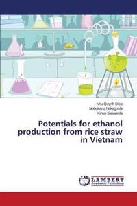 Potentials for ethanol production from rice straw in Vietnam